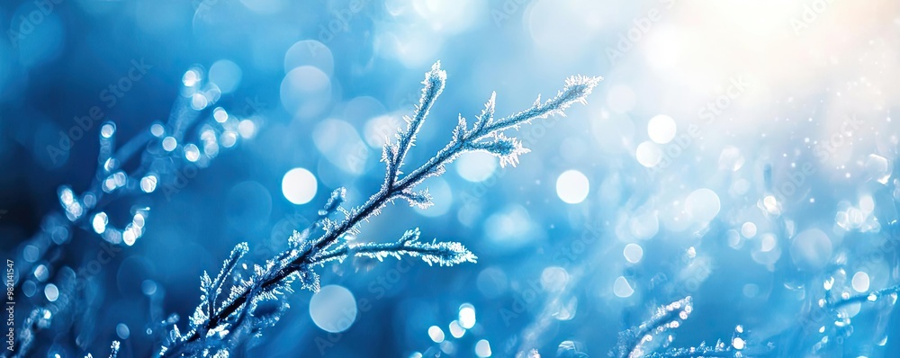 Fototapeta premium A close-up of a frosted branch glimmering in blue light, surrounded by sparkling bokeh, capturing the essence of winter beauty.