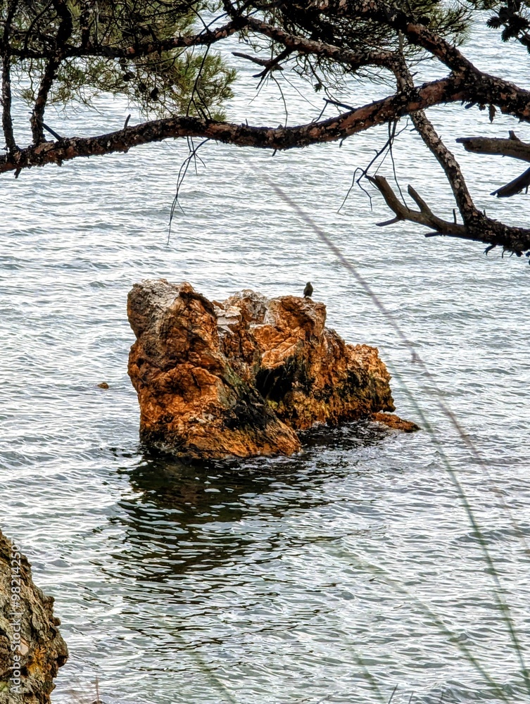 Fototapeta premium a rock in the Mediterranean Sea is covered with clay