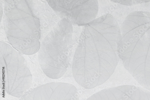 Abstract grey leaves texture background, leaves pattern background