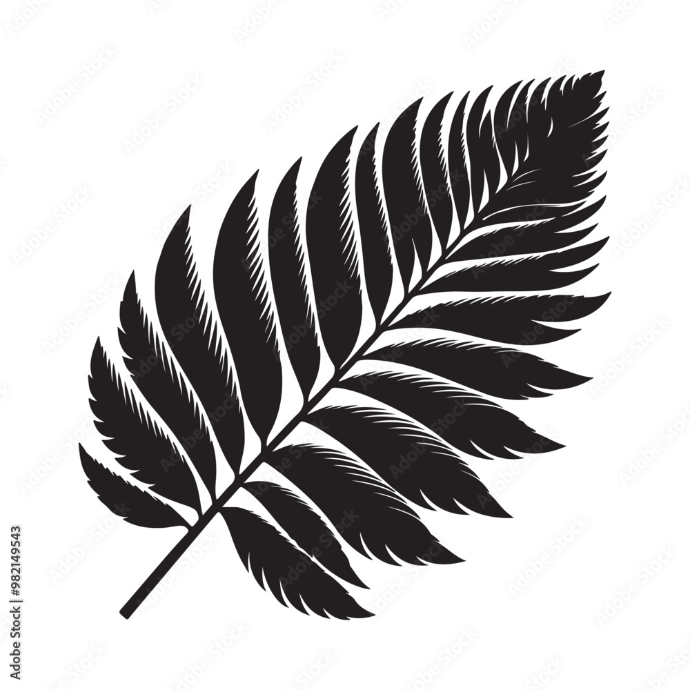 Obraz premium tropical leaf. silhouette vector design