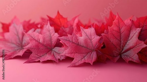 A vibrant bunch of red leaves beautifully displayed on a dark background