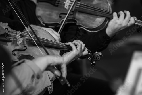 Hands of a violinist in the orchestra closeup in black and white
