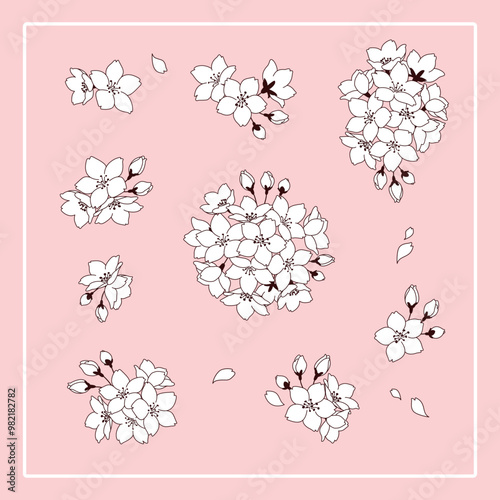 桜の花のベクターイラスト素材セット