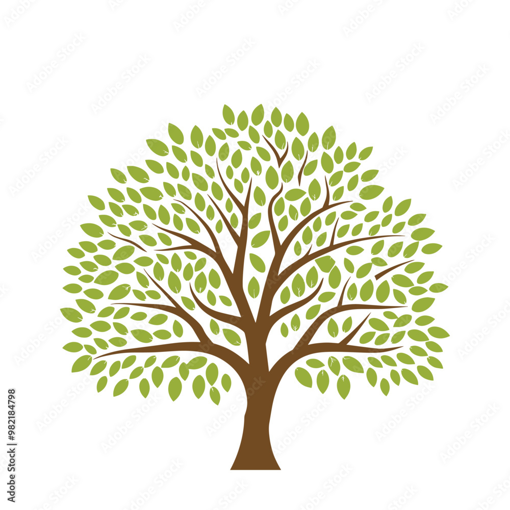Tree silhouette vector illustration Isolated on White background. Deciduous, Oak, Pine trees for Garden and Park Design Tree silhouette vector illustration Isolated on White background. Deciduous, Oak, Pine trees for Garden and Park Design
