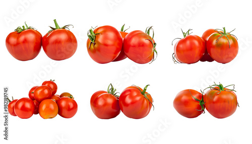 tomato tomatos, many angles and group pile heap isolated on transparent background cutout