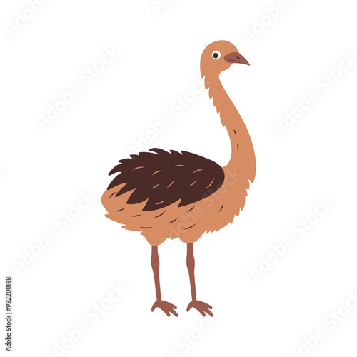 Cute Ostrich Brown African Big Bird Nature Wildlife Animal Character