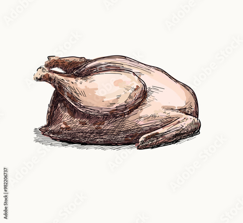 no skin pink chicken turkey meal illustration on white background