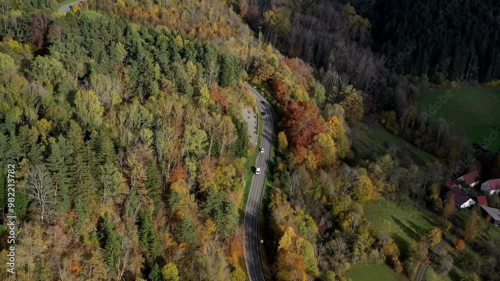 Aerial view of autumn trees on a sunny day in the Black Forest, Baar, Heuberg, Baden-Württemberg, Germany
