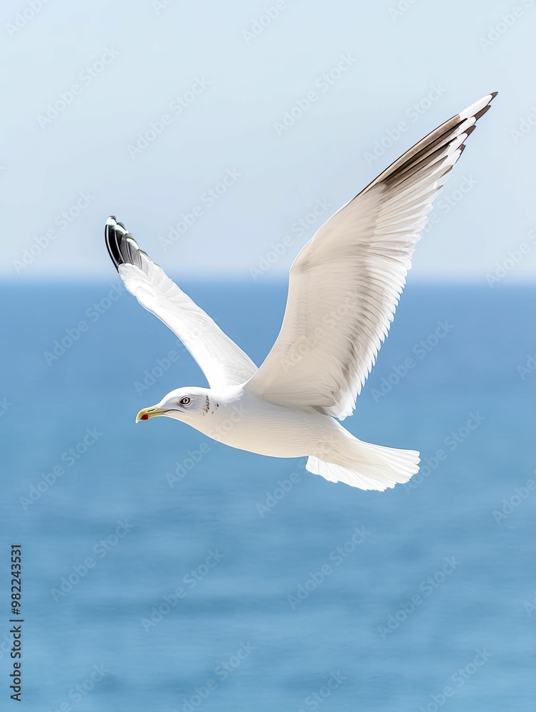 Graceful Bird in Flight Over Serene Ocean Waters, Capturing the Essence of Freedom and Natural Beauty Against a Stunning Seascape Horizon Graceful Bird in Flight Over Serene Ocean Waters, Capturing the Essence of Freedom and Natural Beauty Against a Stunning Seascape Horizon
