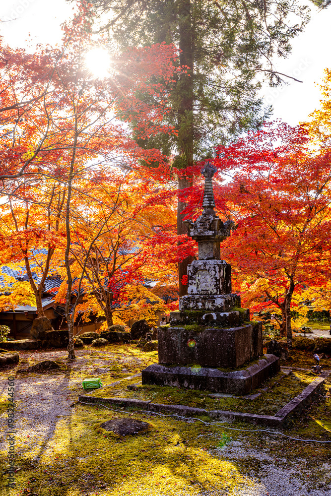 Fototapeta premium 滋賀県 永源寺の紅葉 