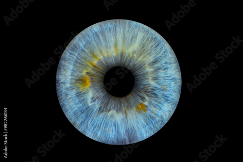 Close up of eye iris on black background, macro, photography	