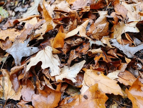 A close-up view of dry autumn leaves, showcasing a mix of browns and yellows, layered on the ground, creating an earthy and textured landscape.