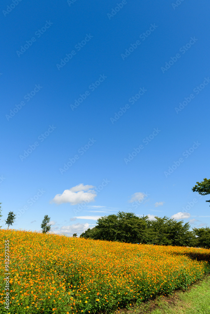 Obraz premium 宮城 初秋 やくらいガーデン