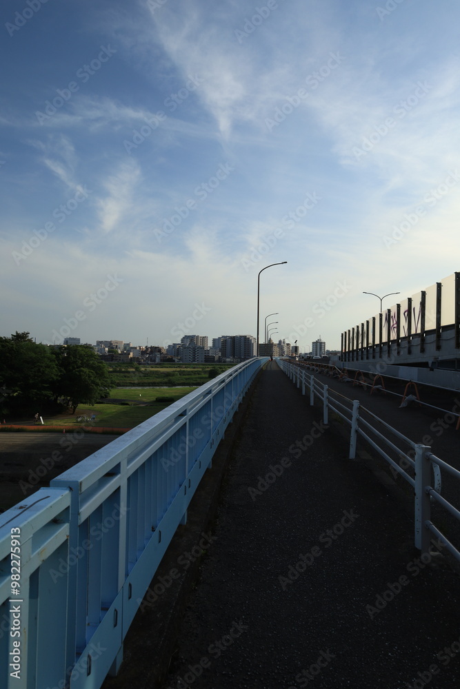 Fototapeta premium 多摩川の河川敷から見る二子玉川駅周辺の風景