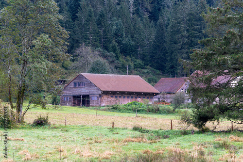 Grange et ferme dans une vallée de montagne dans les Vosges