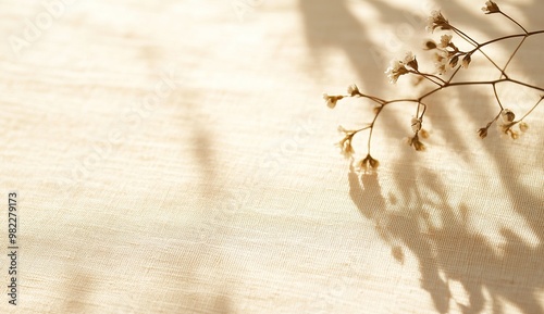 The shadow of dried flowers softly graces the beige linen fabric in light