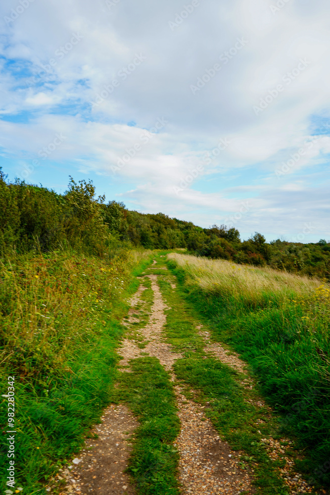 Low angle view down a footpath in the countryside Low angle view down a footpath in the countryside