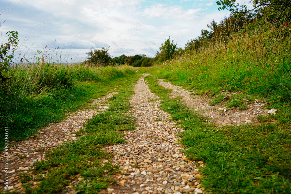 Low angle view down a footpath in the countryside Low angle view down a footpath in the countryside