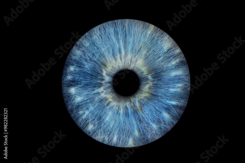 Close up of eye iris on black background, macro, photography	 photo