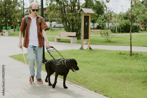 Black Labrador leading his Caucasian male owner with disability in verdant park photo