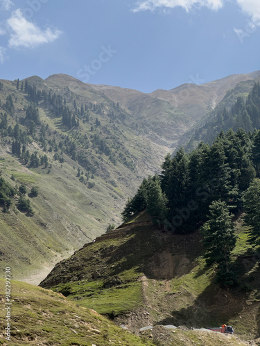 Trees in the mountains of khyber pakhtunkhwa, Pakistan photo