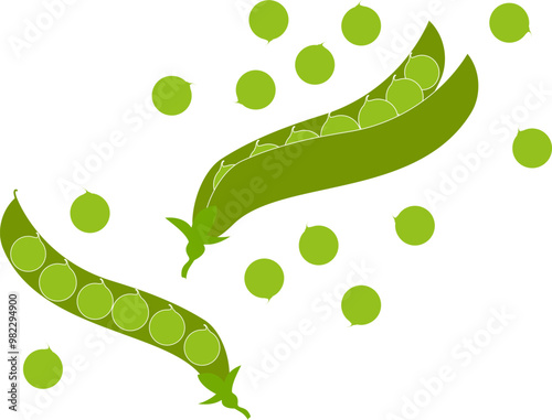 green pea - natural food ingredient, isolated vector, transparent background, EPS10