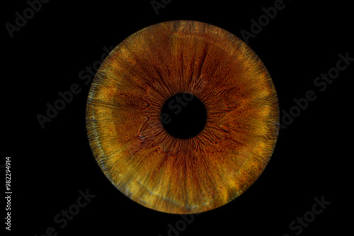 Close up of eye iris on black background, macro, photography	