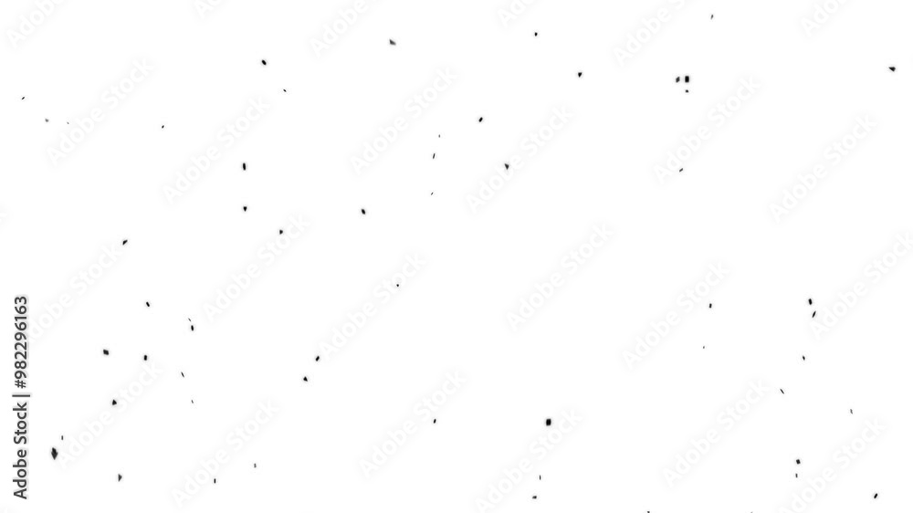 black and white background black and white background