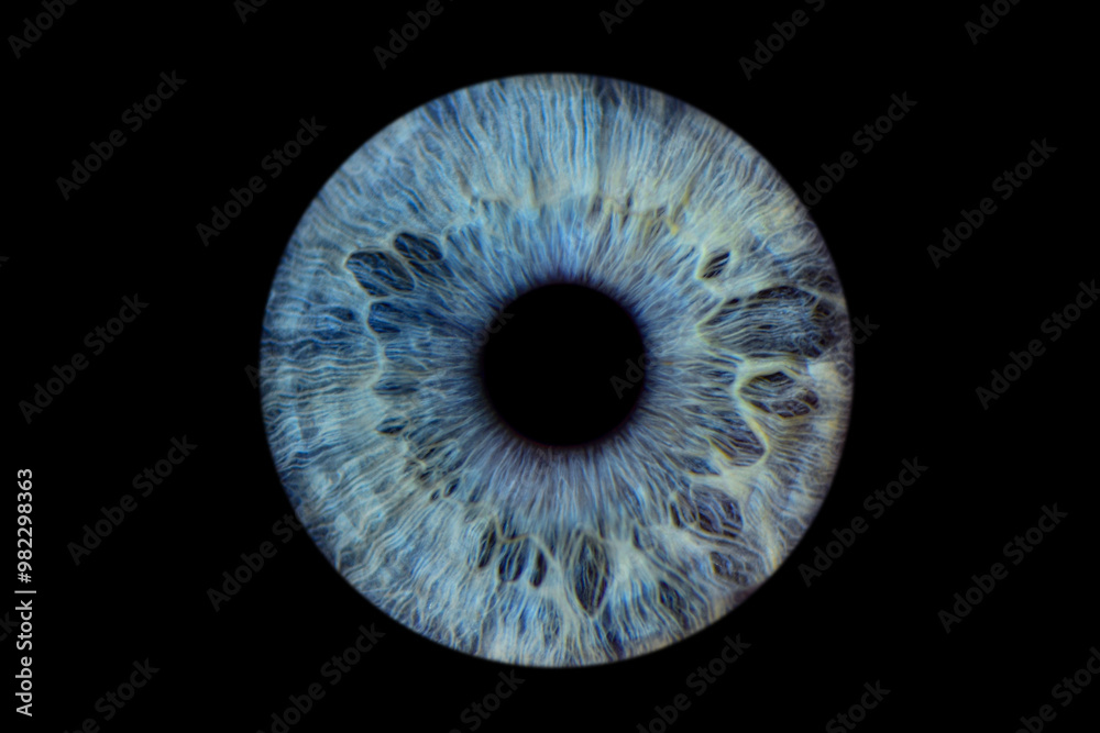Close up of eye iris on black background, macro, photography
Close up of eye iris on black background, macro, photography