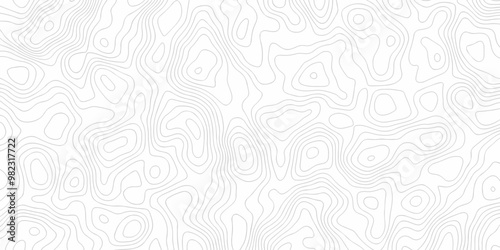 Abstract background vector. Abstract topographic contours map background. Abstract white pattern topography vector background. Black and white topography contour line map isolated on white background.
