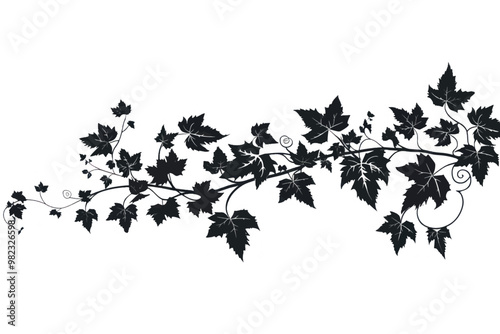 Elegant black vine leaves illustration