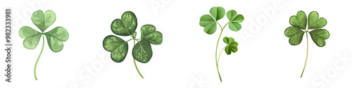 Closeup of fresh green shamrock or clover leaves forming a natural decorative backdrop or repeating pattern  Shamrocks are a popular lucky symbol especially associated with St  Patrick s Day