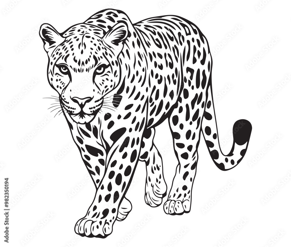 Silhouette of a leopard vector Silhouette of a leopard vector