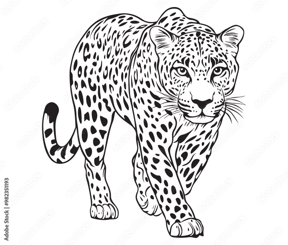Silhouette of a leopard vector Silhouette of a leopard vector
