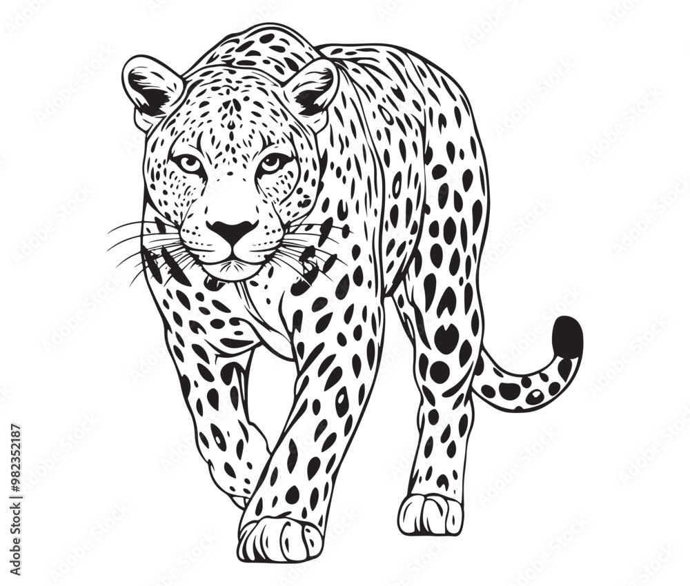 Fototapeta premium Silhouette of a leopard vector 