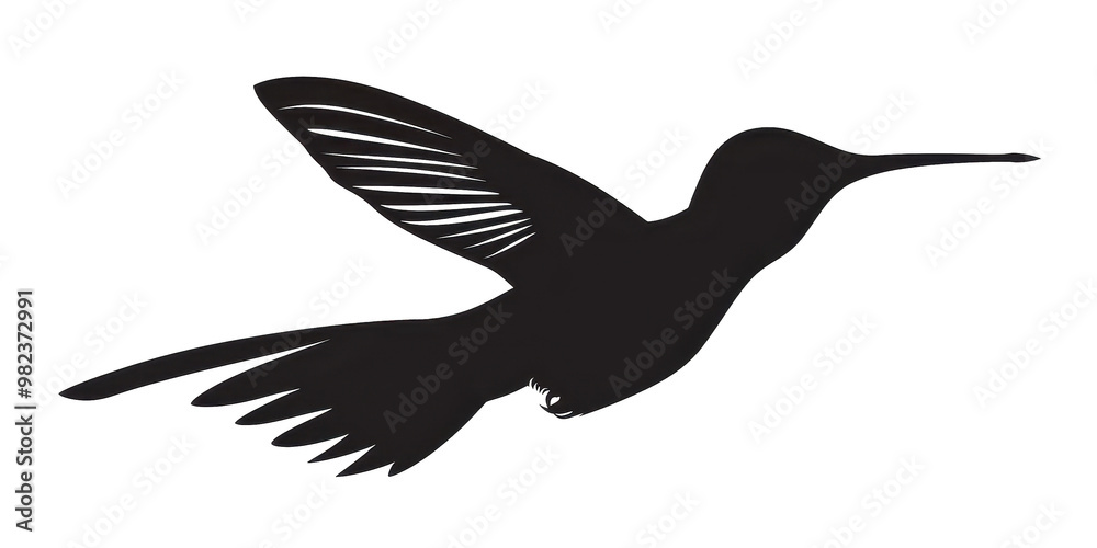 Obraz premium A black and white bird with a long beak flying in the air