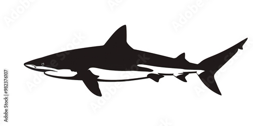 A black and white shark is shown in the image