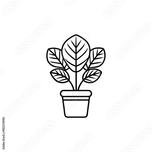 Line drawing of a potted fiddle leaf fig tree with large glossy leaves.