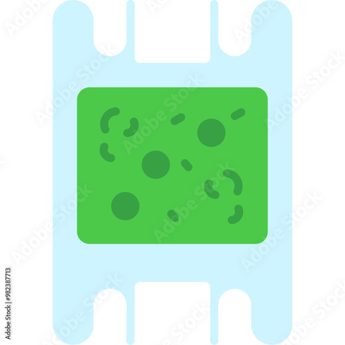 Dinoflagellate Biddulphia R Icon