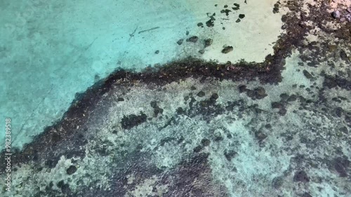 Emerald Sea Waters Swaying Gently Near the Beach