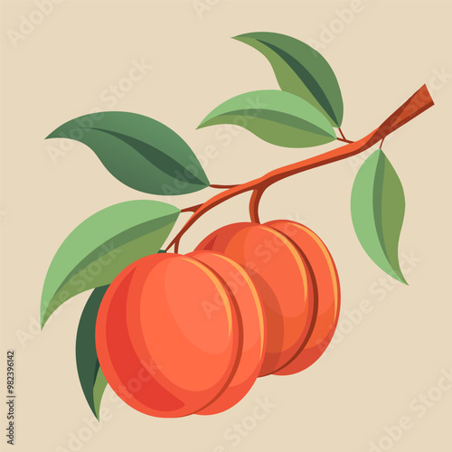 Juicy peaches on a branch with leaves, simple flat vector design, isolated objects