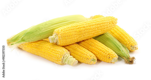 Many fresh ripe corncobs isolated on white