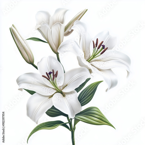 bouquet of lilies