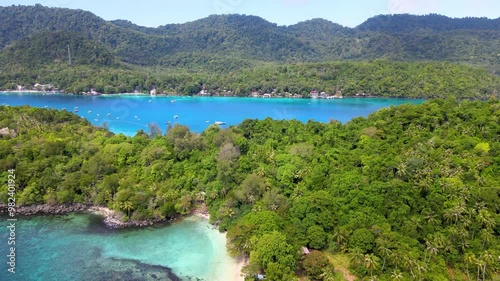 Tropical Beach Nestled by the Vibrant Emerald Green Sea