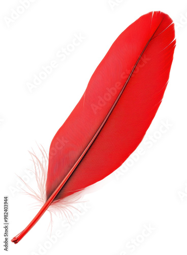 PNG Bright red feather lying on a white surface