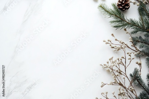 White Marble Background with Pine Sprigs and a Pine Cone
