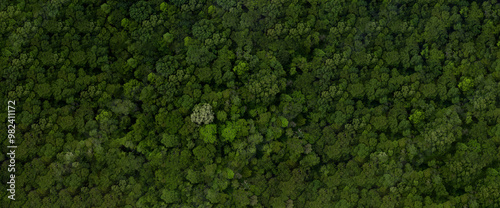 Obraz na płótnie Aerial top view green forest tree texture and background, Natural green forest tree background, Tropical rainforest tree ecosystem environment, Texture and background of green tree forest. w salonie
