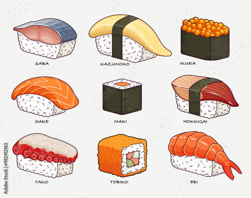 Traditional Japanese sushi set. Featuring rolls, saba, kazunoko, ikura, sake, maki, hokkigai, tako, tobiko, and ebi. Vector illustration
