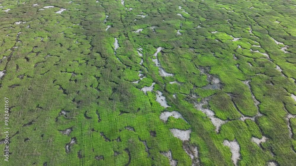 This is an aerial shot of the countryside with a wide meadow.
This is an aerial shot of the countryside with a wide meadow.