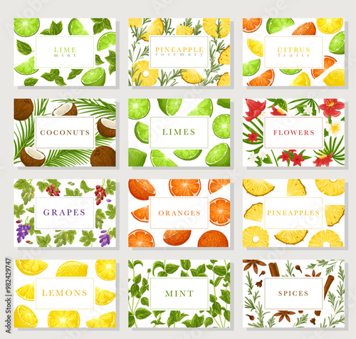 Fruits, berries, spices business cards set. Hand drawn vector collection with a text box. Lime, mint, pineapple, citrus, coconut, flowers, orange, grapes, spices illustrations on white background